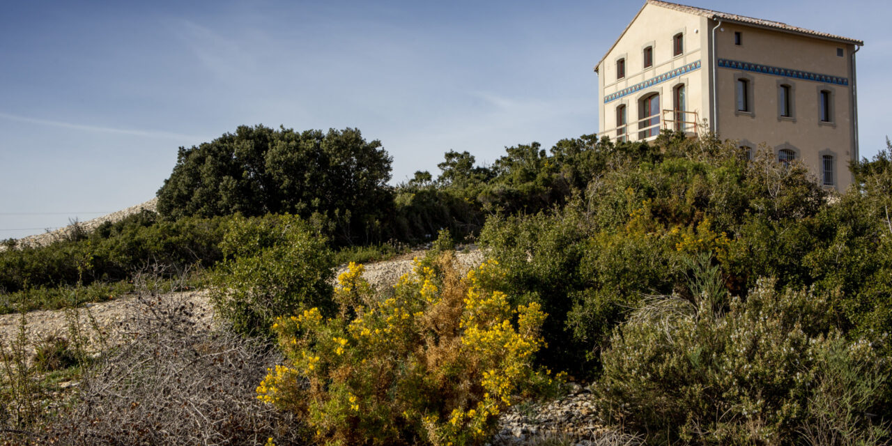 Villa Bellevue : deux nouveautés gourmandes à Château Calissanne